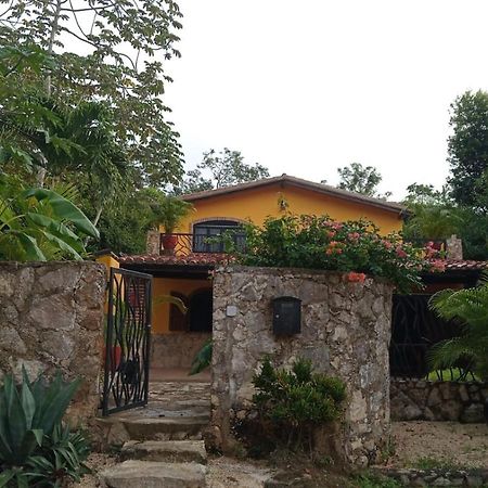 Casa Mango Bed and Breakfast Tulum Exteriör bild
