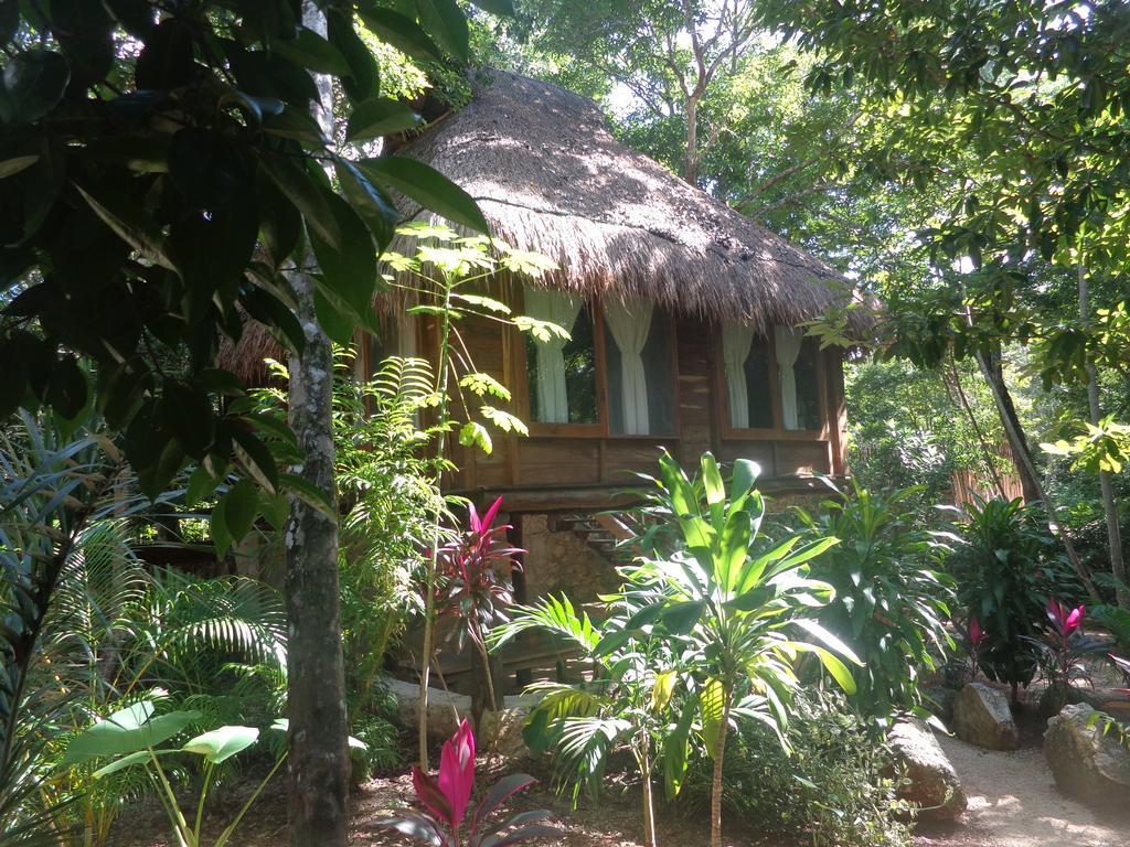 Casa Mango Bed and Breakfast Tulum Rum bild