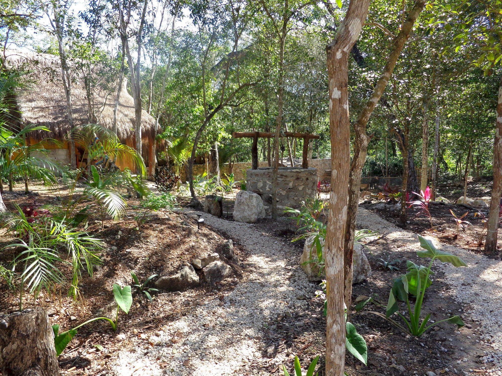 Casa Mango Bed and Breakfast Tulum Exteriör bild