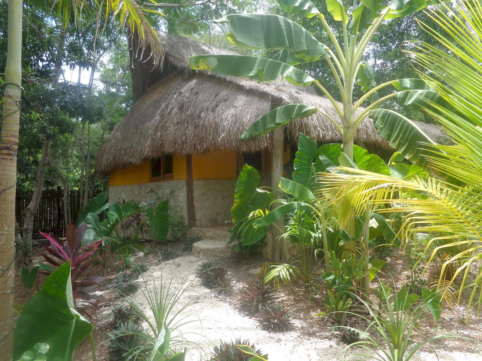 Casa Mango Bed and Breakfast Tulum Exteriör bild