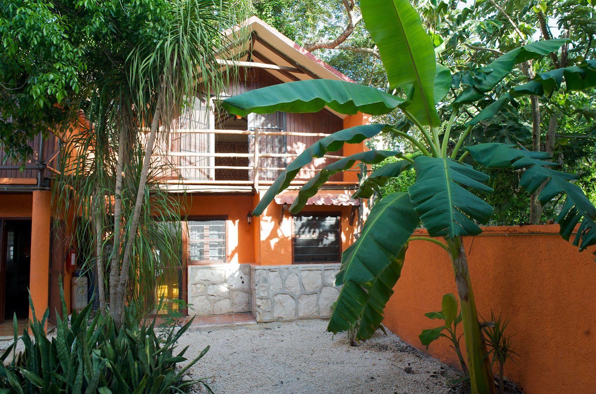 Casa Mango Bed and Breakfast Tulum Exteriör bild