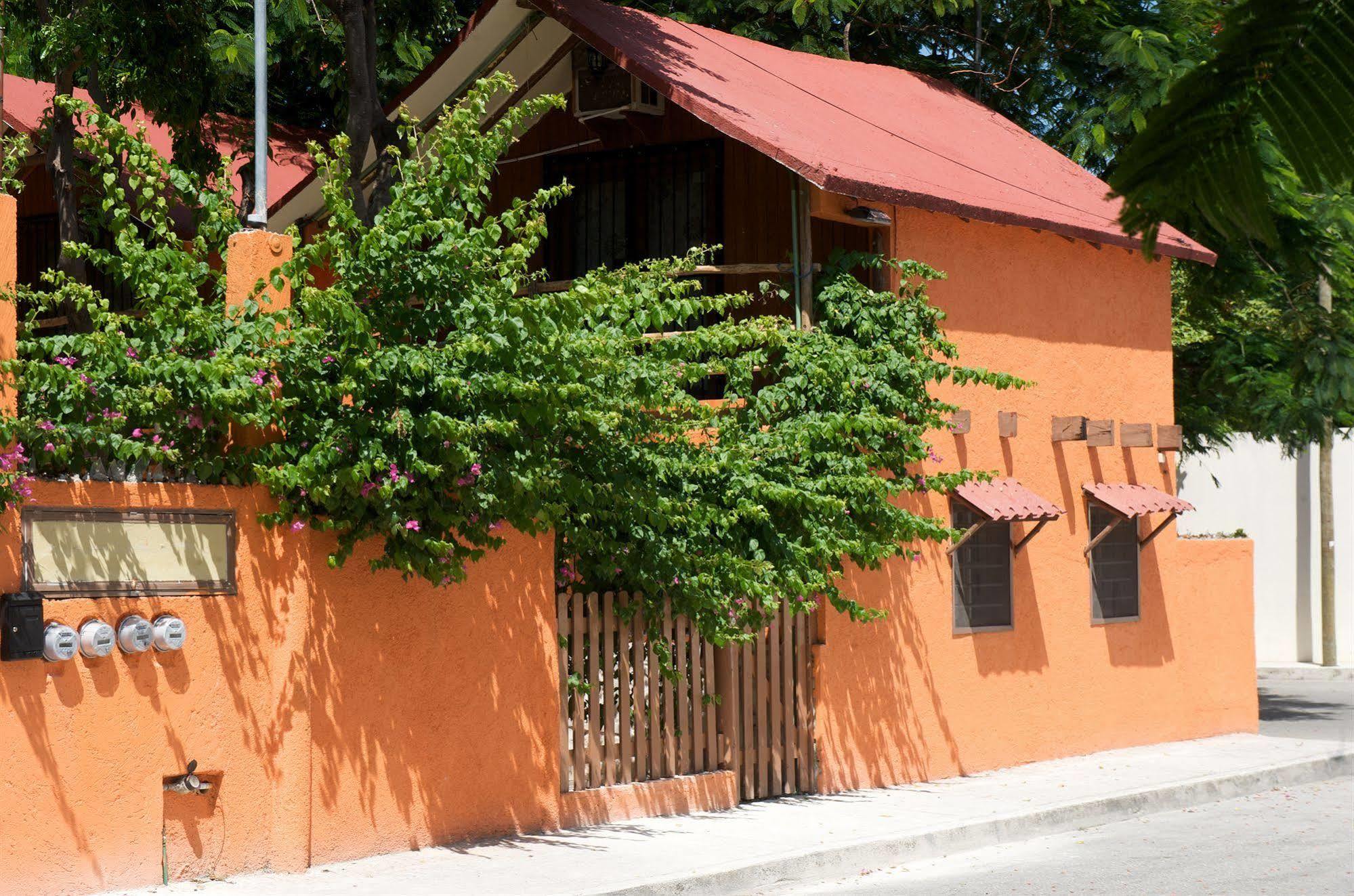 Casa Mango Bed and Breakfast Tulum Exteriör bild